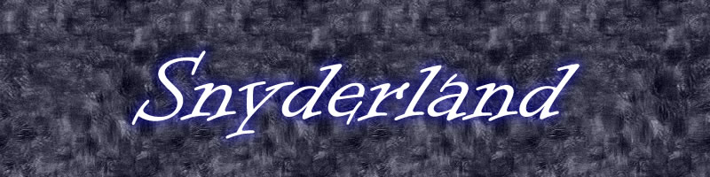 Snyderland banner